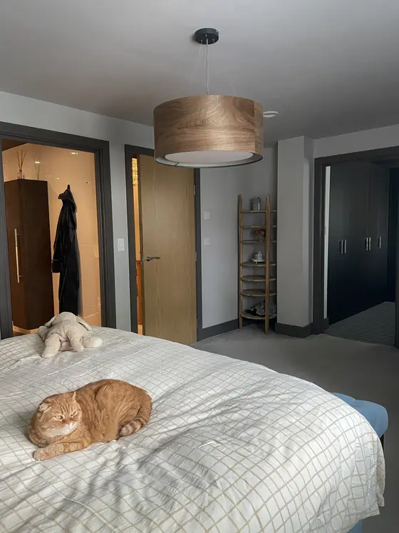 Finchley bedroom feature walls with deep paint colour, crisp geometry and hand-finished edges additional project view 2